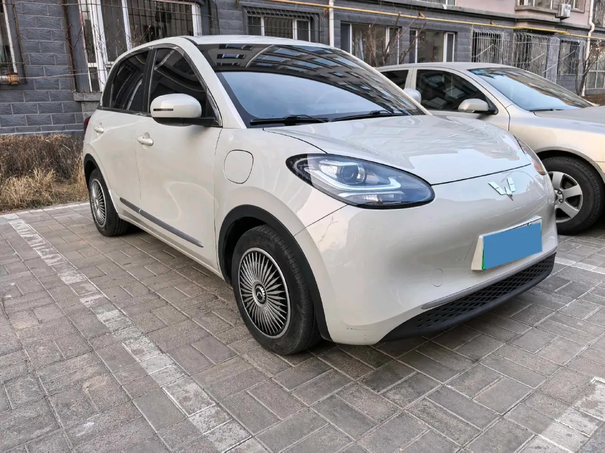 2023 WuLing BinGuo BEV 17.3KWH,autocango,china used car exporter,china ev exporter,chinese used car exporter,chinese used ev exporter