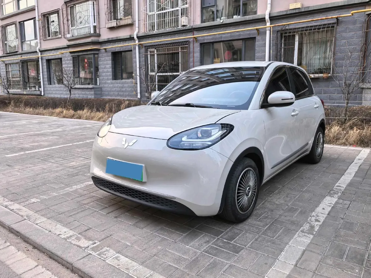 2023 WuLing BinGuo BEV 17.3KWH,autocango,china used car exporter,china ev exporter,chinese used car exporter,chinese used ev exporter