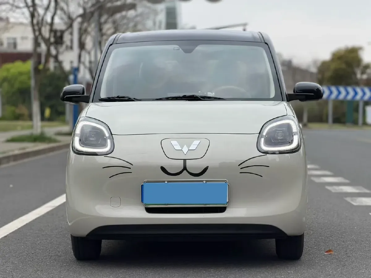 2025 WuLing HongGuang MINI EV BEV 16.2KWH,autocango,china used car exporter,china ev exporter,chinese used car exporter,chinese used ev exporter