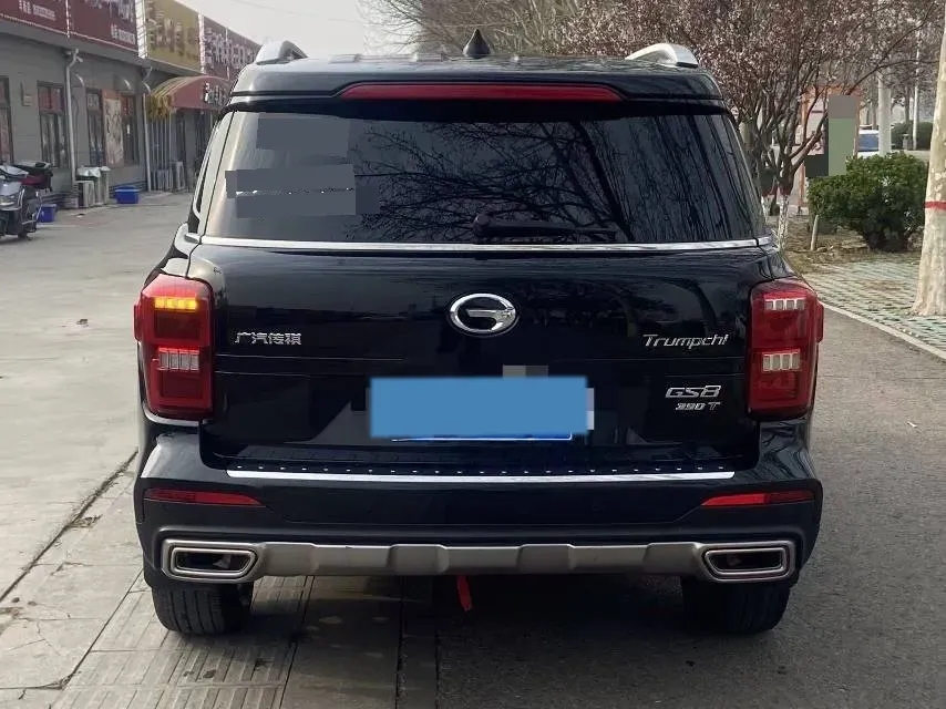 2020 GAC Trumpchi GS8 2.0T 252HP L4 6AT,autocango,china used car exporter,china ev exporter,chinese used car exporter,chinese used ev exporter