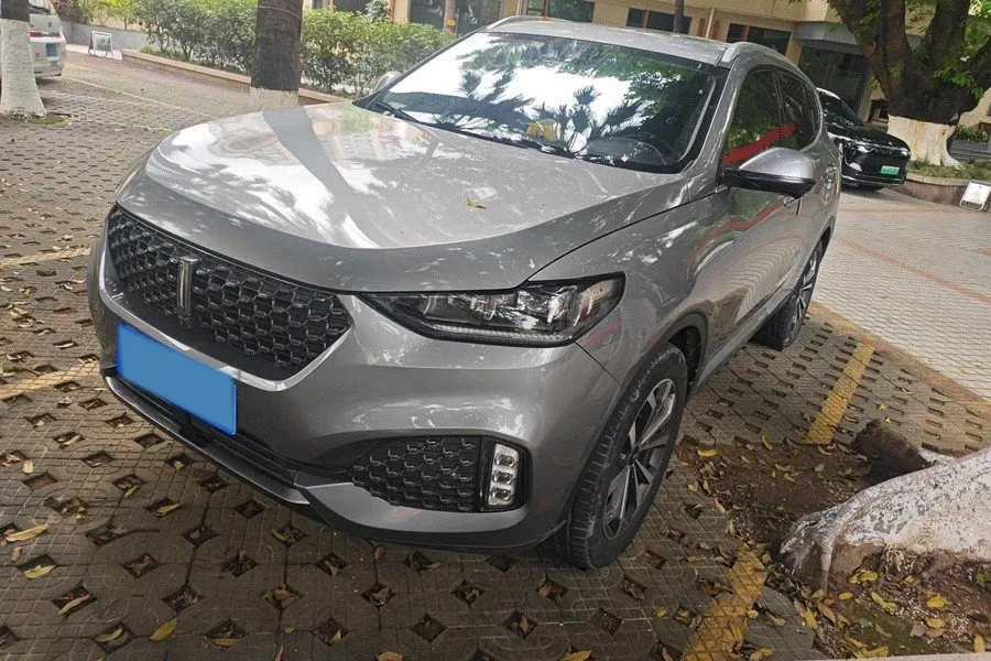 2020 WEY VV6 2.0T 227HP L4 7DCT,autocango,china used car exporter,china ev exporter,chinese used car exporter,chinese used ev exporter