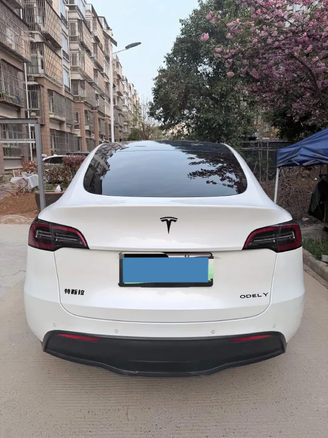 2022 Tesla Model Y BEV 60KWH,autocango,china used car exporter,china ev exporter,chinese used car exporter,chinese used ev exporter