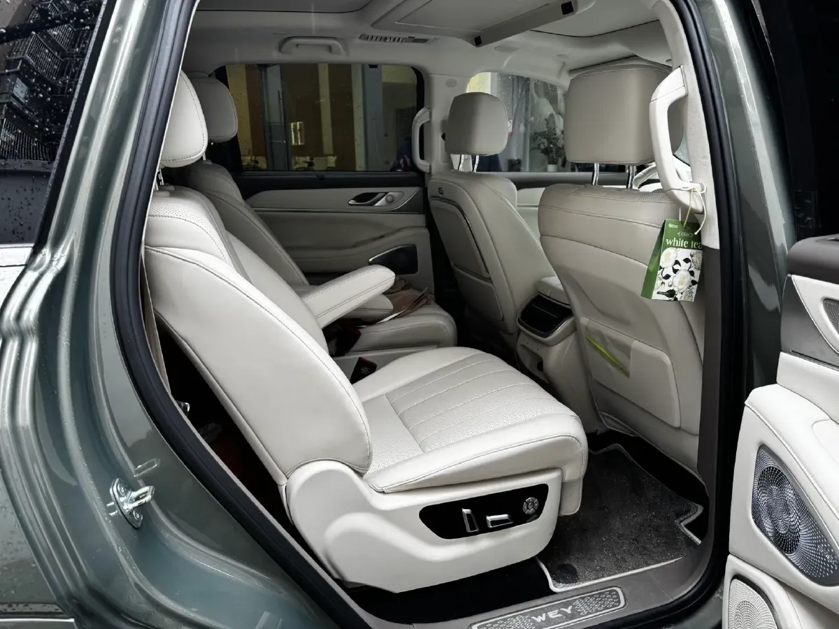 2025 WEY BlueMountain 1.5T 170HP L4 4DHT PHEV 52.3KWH,autocango,china used car exporter,china ev exporter,chinese used car exporter,chinese used ev exporter