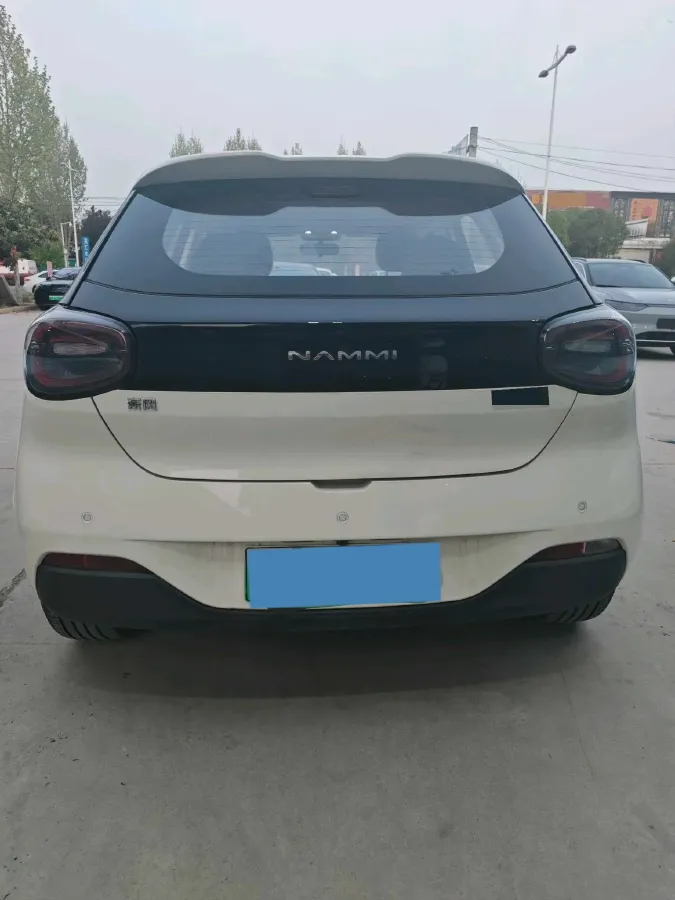 2024 DongFeng Nammi 01 BEV 42.3KWH,autocango,china used car exporter,china ev exporter,chinese used car exporter,chinese used ev exporter