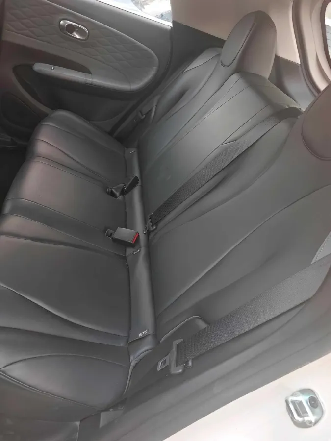 2024 DongFeng eπ 01 BEV 42.3KWH,autocango,china used car exporter,china ev exporter,chinese used car exporter,chinese used ev exporter