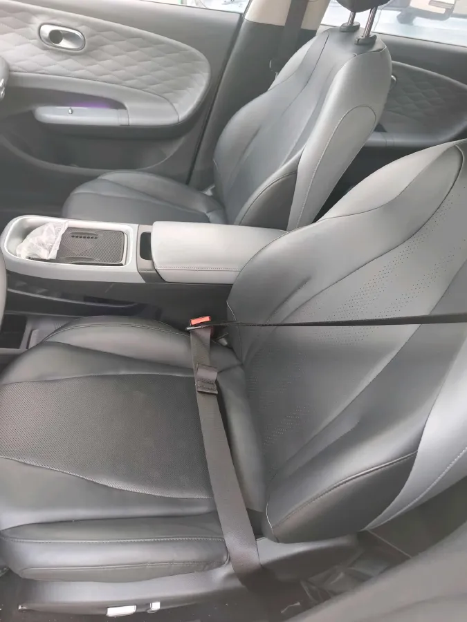 2024 DongFeng eπ 01 BEV 42.3KWH,autocango,china used car exporter,china ev exporter,chinese used car exporter,chinese used ev exporter