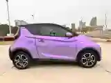 2019 Chery Little Ant BEV 30.6KWH