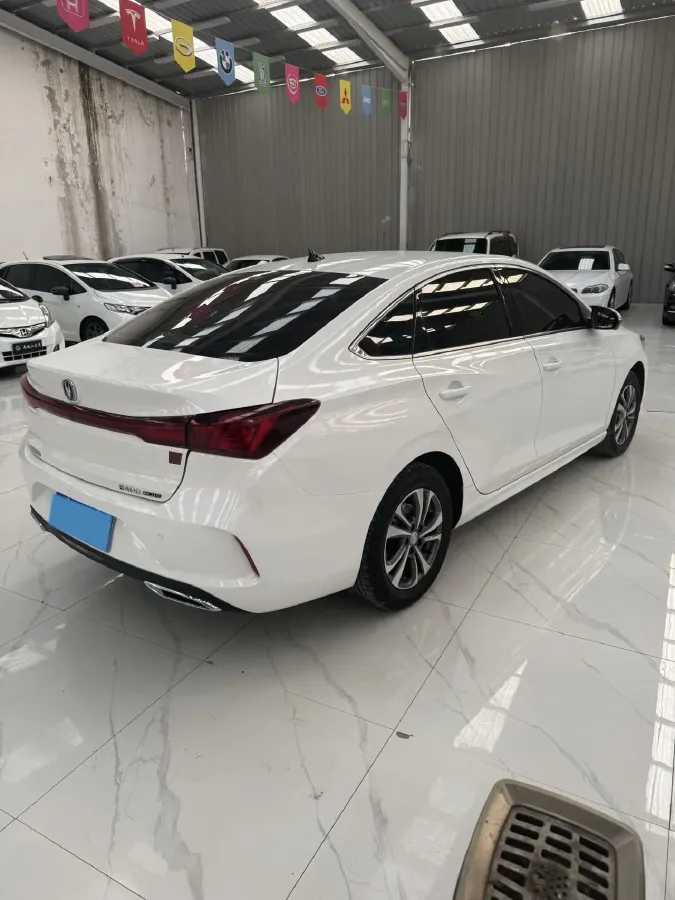 2024 ChangAn Eado 1.4T 160HP L4 7DCT,autocango,china used car exporter,china ev exporter,chinese used car exporter,chinese used ev exporter