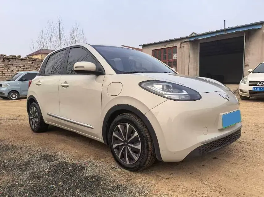 2023 WuLing BinGuo BEV 31.9KWH,autocango,china used car exporter,china ev exporter,chinese used car exporter,chinese used ev exporter