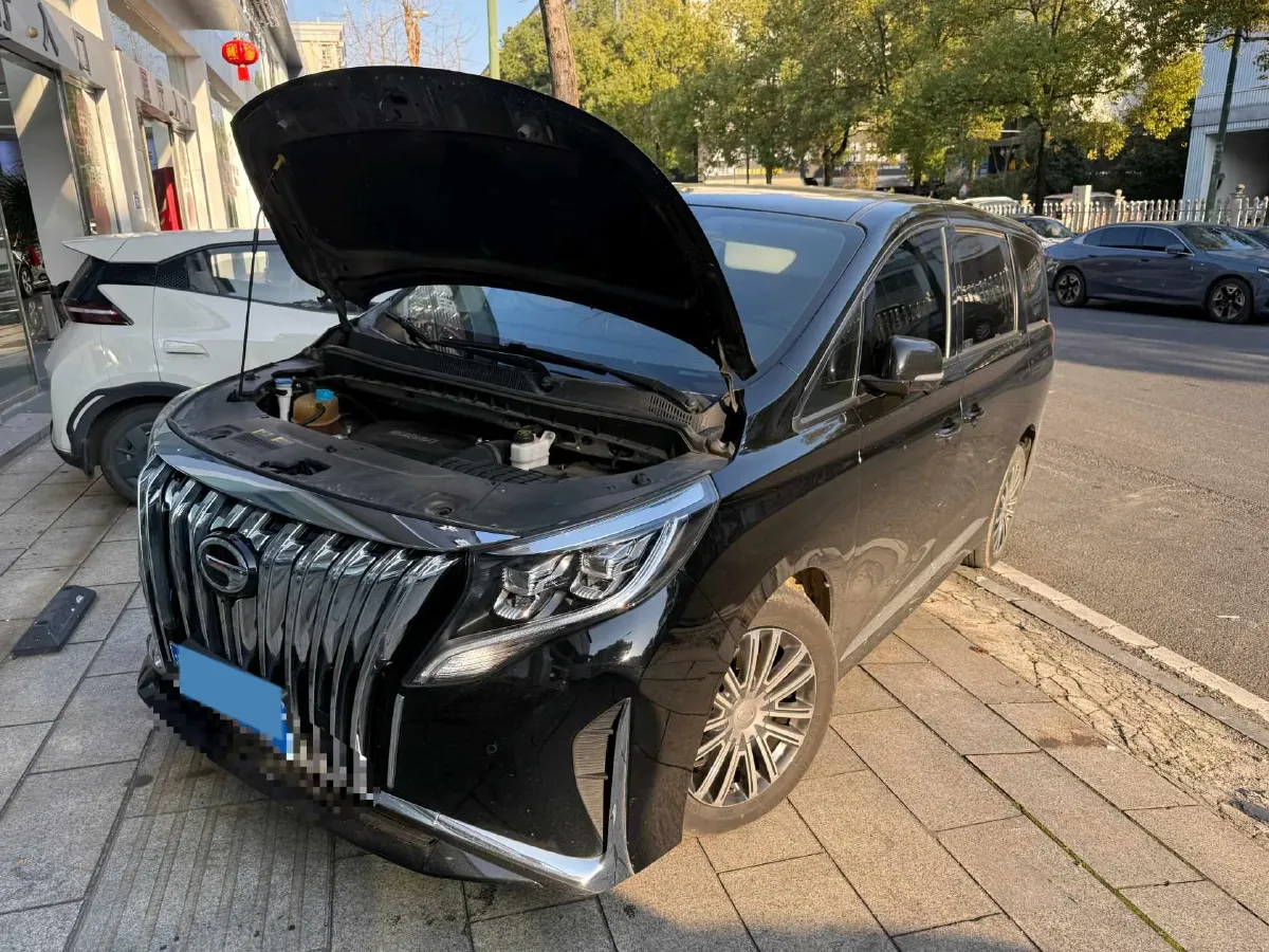 2021 GAC Trumpchi M8 2.0T 252HP L4 8AT,autocango,china used car exporter,china ev exporter,chinese used car exporter,chinese used ev exporter