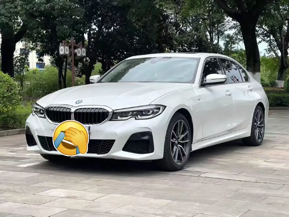 2022 BMW 3 Series 2.0T 184HP L4 8AT,autocango,china used car exporter,china ev exporter,chinese used car exporter,chinese used ev exporter