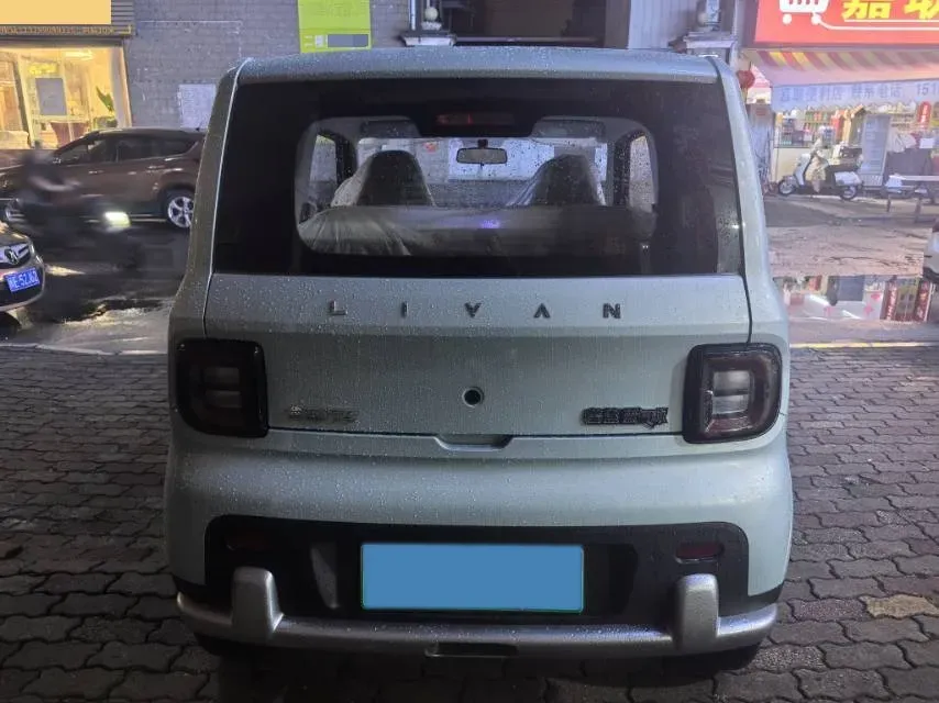 2025 ZD Rainbow BEV,autocango,china used car exporter,china ev exporter,chinese used car exporter,chinese used ev exporter