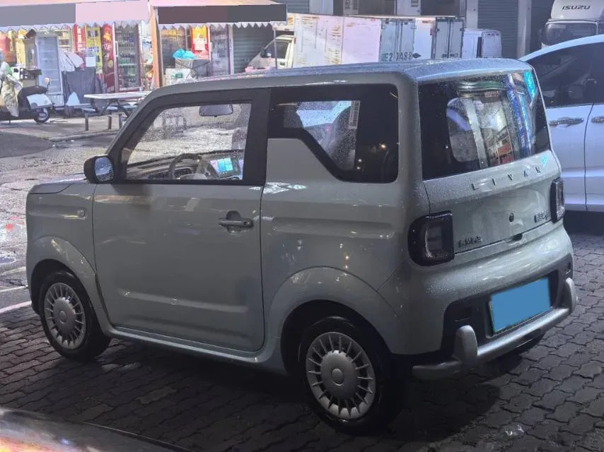 2025 ZD Rainbow BEV,autocango,china used car exporter,china ev exporter,chinese used car exporter,chinese used ev exporter