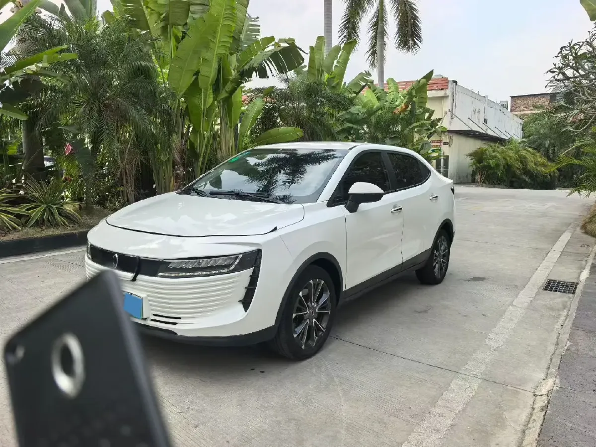 2019 Ora iQ BEV 47KWH,autocango,china used car exporter,china ev exporter,chinese used car exporter,chinese used ev exporter