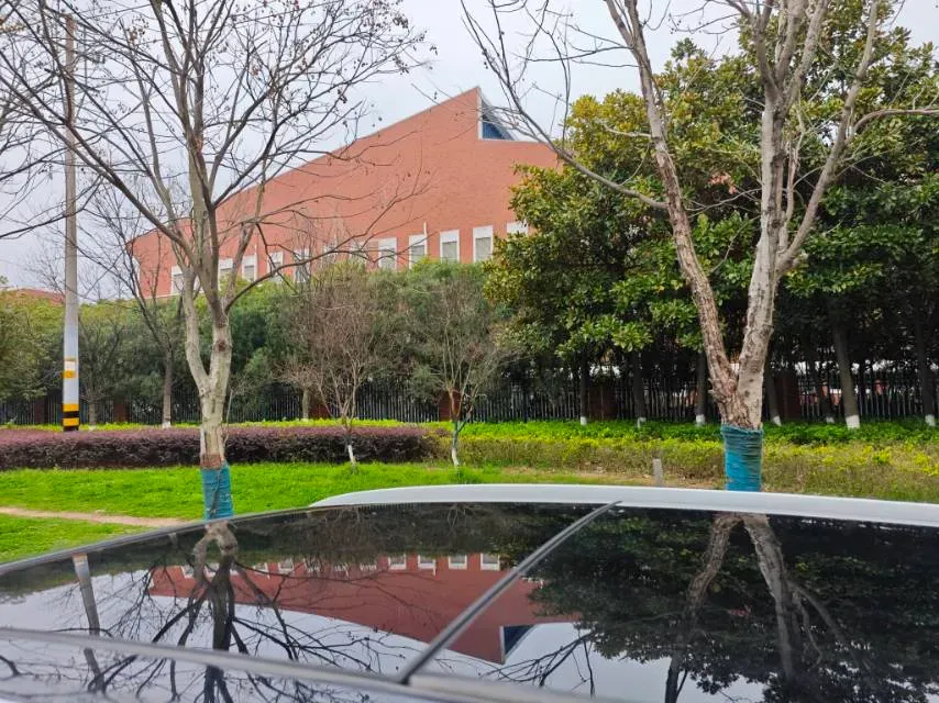 2021 Haval H6 2.0T 211HP L4 7DCT,autocango,china used car exporter,china ev exporter,chinese used car exporter,chinese used ev exporter