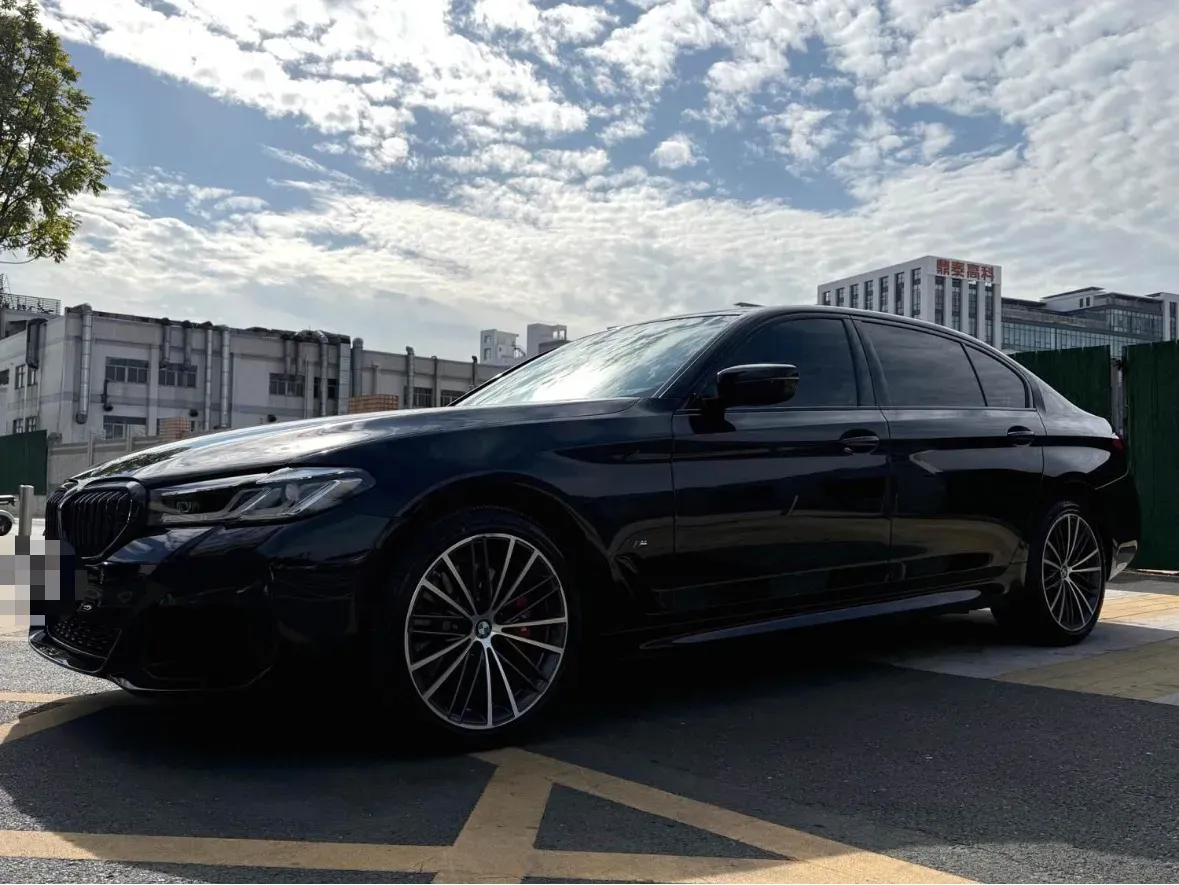 2021 BMW 5 Series 2.0T 252HP L4 8AT,autocango,china used car exporter,china ev exporter,chinese used car exporter,chinese used ev exporter
