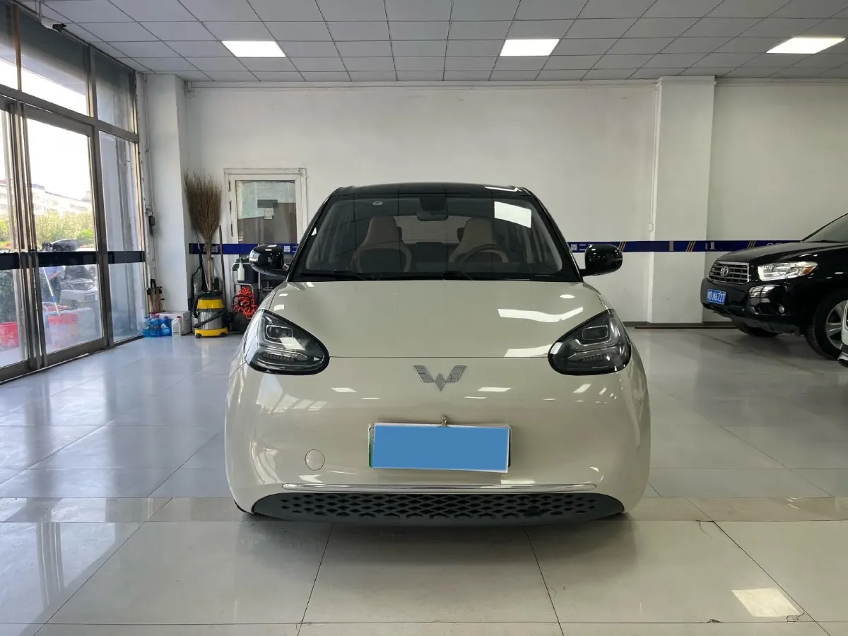 2023 WuLing BinGuo BEV 37.9KWH,autocango,china used car exporter,china ev exporter,chinese used car exporter,chinese used ev exporter