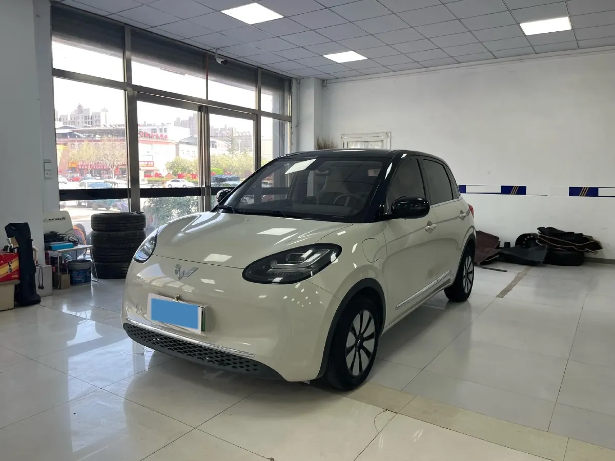 2023 WuLing BinGuo BEV 37.9KWH,autocango,china used car exporter,china ev exporter,chinese used car exporter,chinese used ev exporter