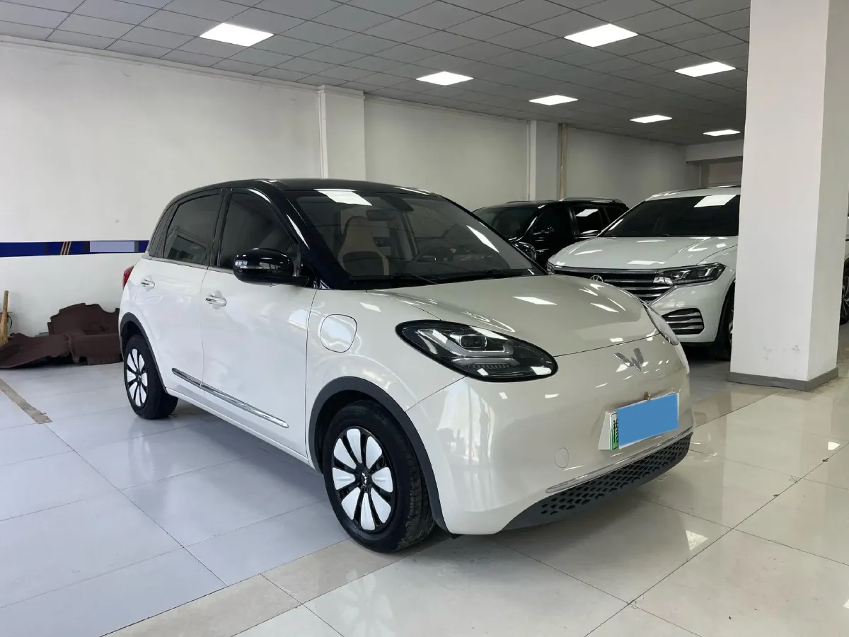 2023 WuLing BinGuo BEV 37.9KWH,autocango,china used car exporter,china ev exporter,chinese used car exporter,chinese used ev exporter
