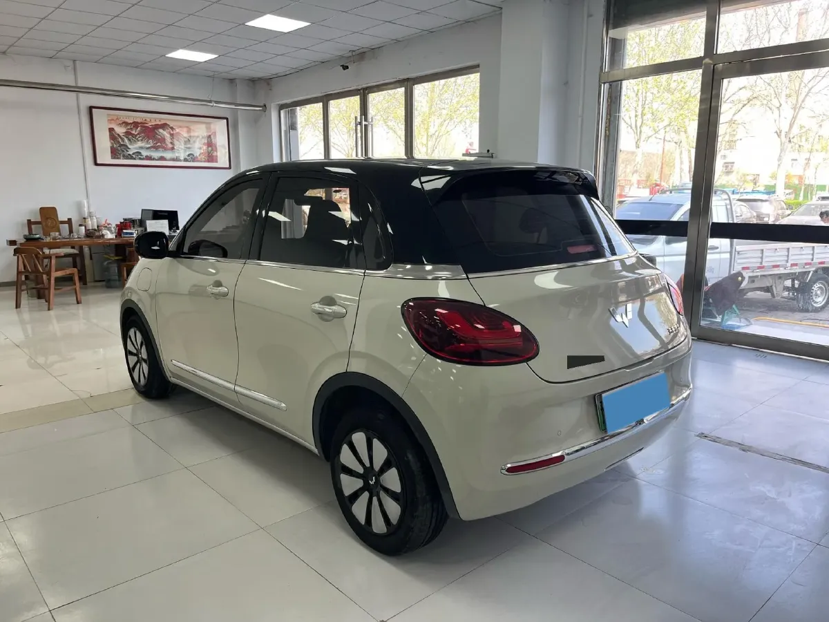 2023 WuLing BinGuo BEV 37.9KWH,autocango,china used car exporter,china ev exporter,chinese used car exporter,chinese used ev exporter