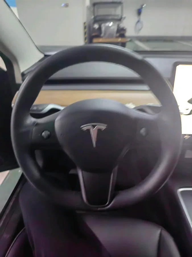 2022 Tesla Model 3 BEV 60KWH,autocango,china used car exporter,china ev exporter,chinese used car exporter,chinese used ev exporter