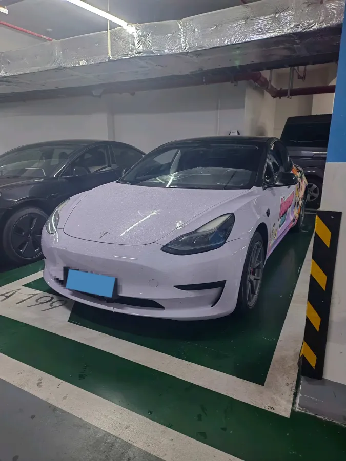 2022 Tesla Model 3 BEV 60KWH,autocango,china used car exporter,china ev exporter,chinese used car exporter,chinese used ev exporter