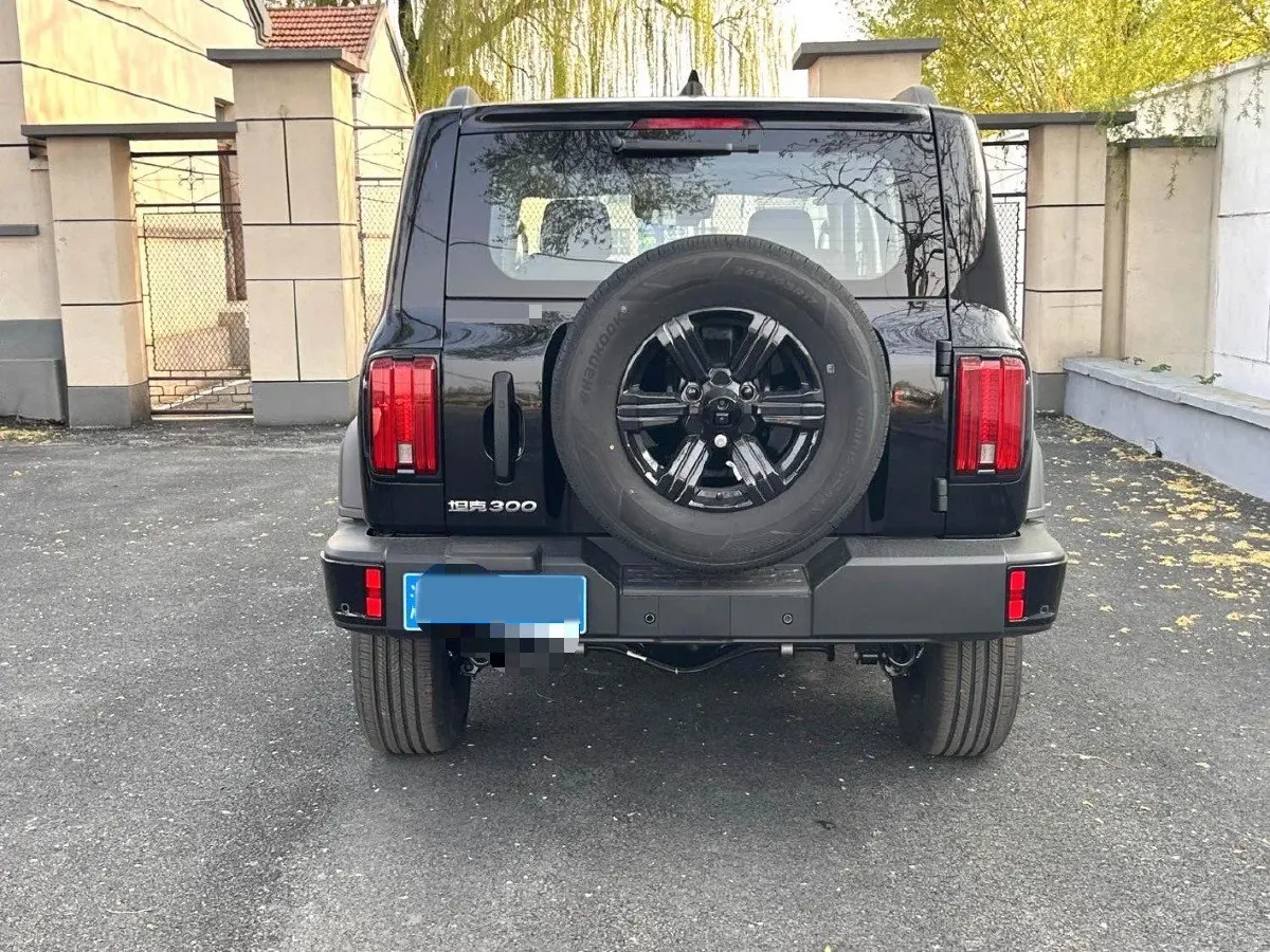 2025 Tank 300 2.0T 227HP L4 9AT,autocango,china used car exporter,china ev exporter,chinese used car exporter,chinese used ev exporter