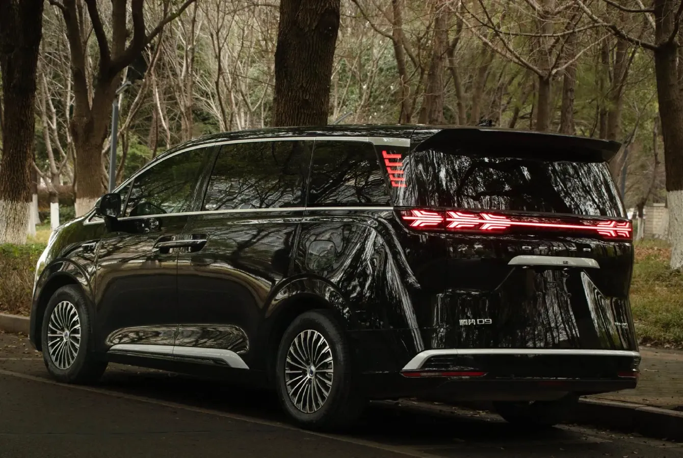 2024 Denza D9 1.5T 139HP L4 E-CVT PHEV 40KWH,autocango,china used car exporter,china ev exporter,chinese used car exporter,chinese used ev exporter