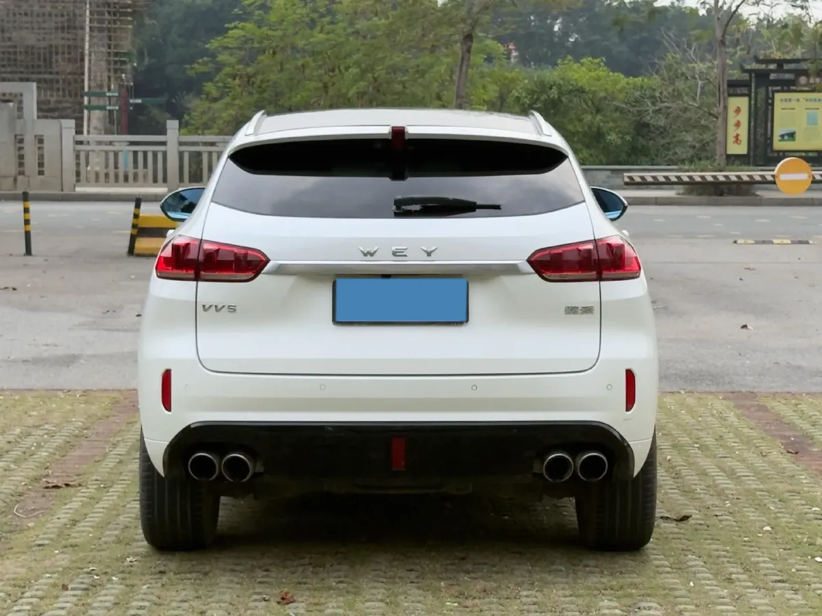 2019 WEY VV5 2.0T 224HP L4 7DCT,autocango,china used car exporter,china ev exporter,chinese used car exporter,chinese used ev exporter