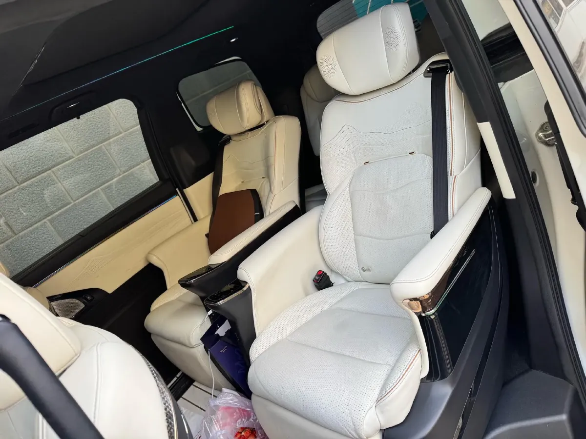 2023 GAC Trumpchi M8 2.0T 252HP L4 8AT,autocango,china used car exporter,china ev exporter,chinese used car exporter,chinese used ev exporter