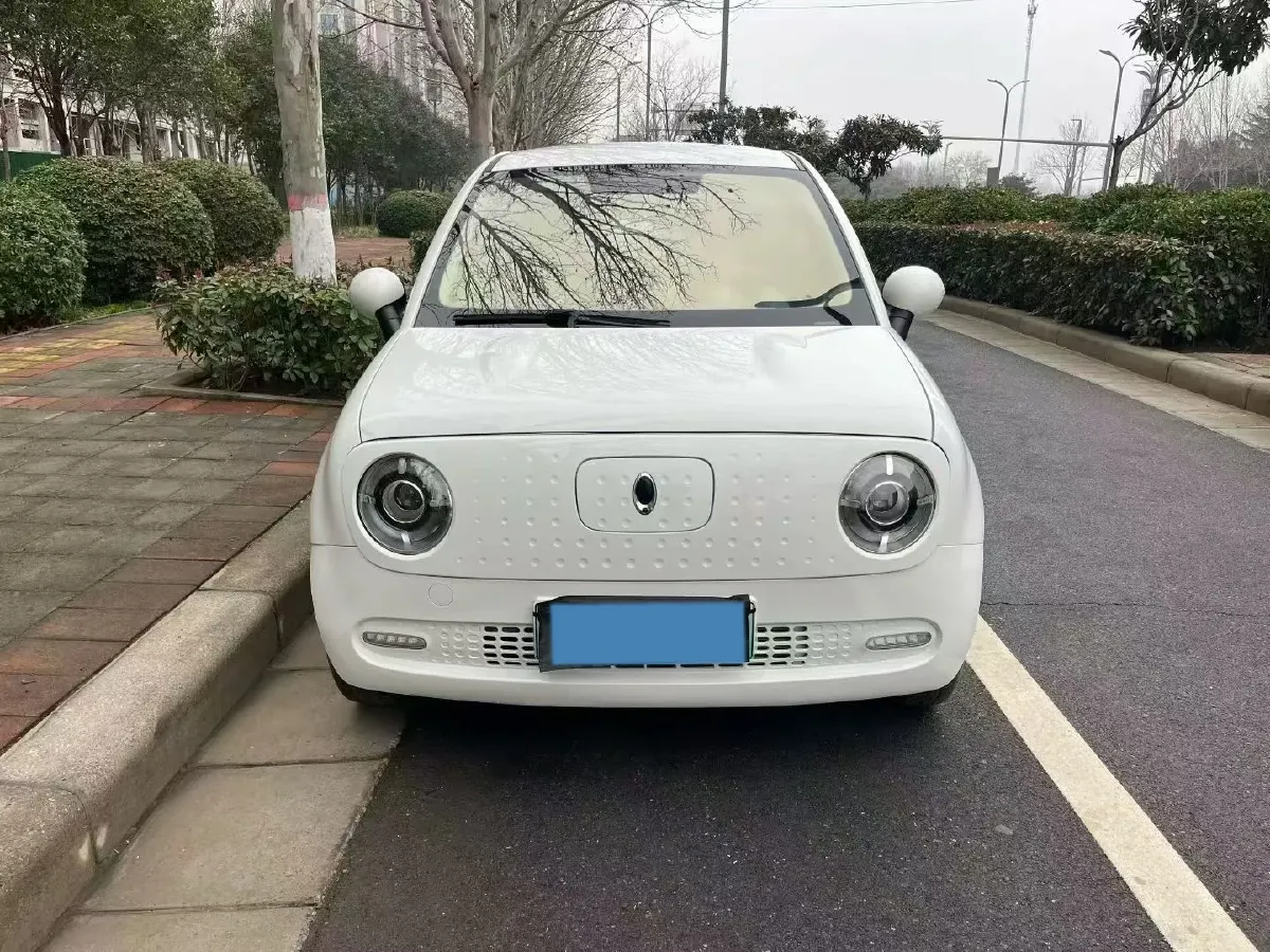 2021 Ora BlackCat BEV 33KWH,autocango,china used car exporter,china ev exporter,chinese used car exporter,chinese used ev exporter