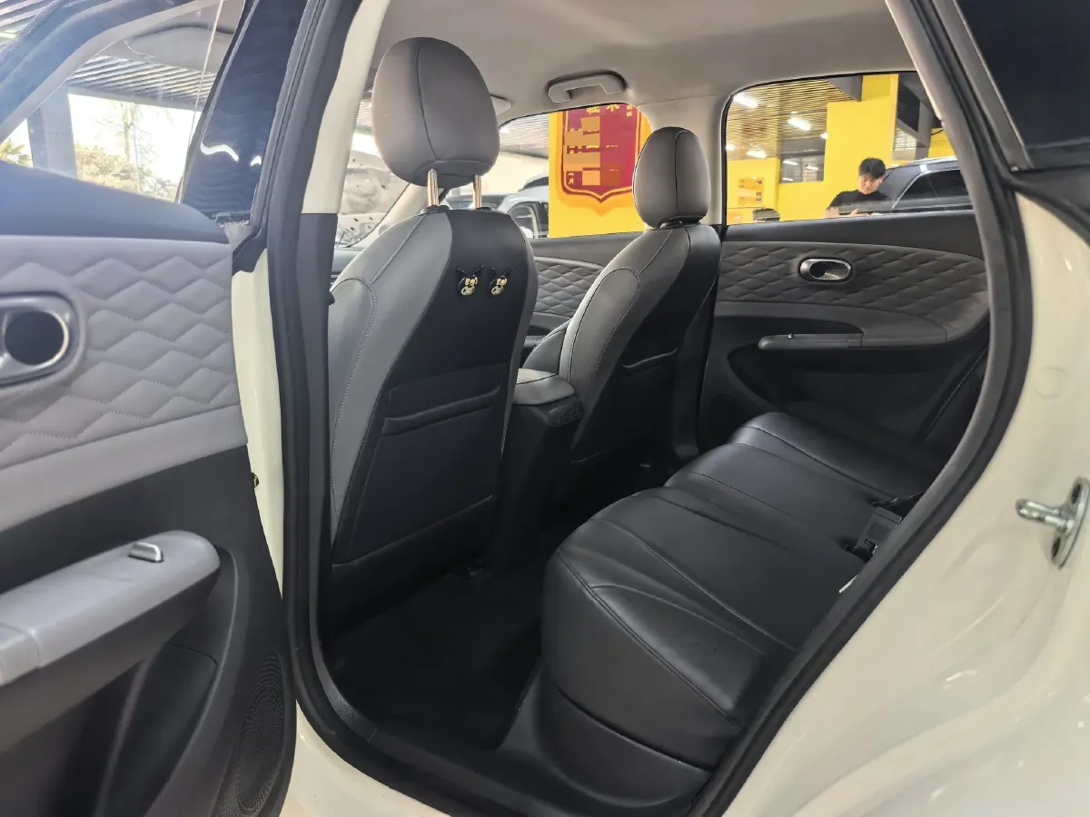 2024 DongFeng Nammi 01 BEV 42.3KWH,autocango,china used car exporter,china ev exporter,chinese used car exporter,chinese used ev exporter