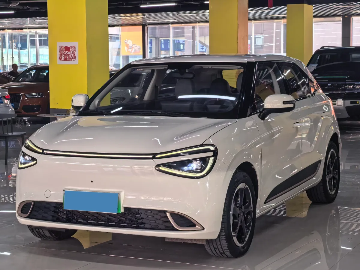 2024 DongFeng Nammi 01 BEV 42.3KWH,autocango,china used car exporter,china ev exporter,chinese used car exporter,chinese used ev exporter