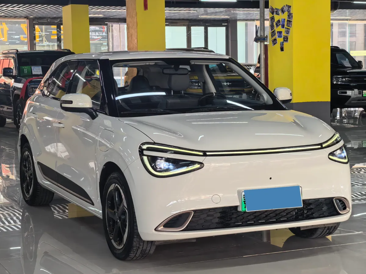 2024 DongFeng Nammi 01 BEV 42.3KWH,autocango,china used car exporter,china ev exporter,chinese used car exporter,chinese used ev exporter