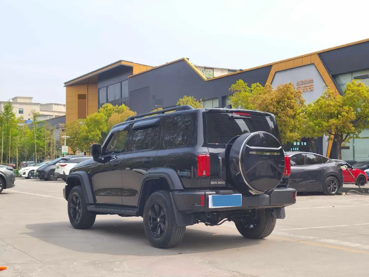 2025 Tank 300 2.0T 227HP L4 9AT,autocango,china used car exporter,china ev exporter,chinese used car exporter,chinese used ev exporter