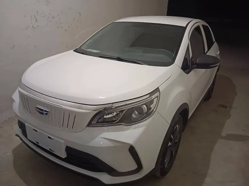 2021 Geometry EX3 BEV 37.23KWH,autocango,china used car exporter,china ev exporter,chinese used car exporter,chinese used ev exporter