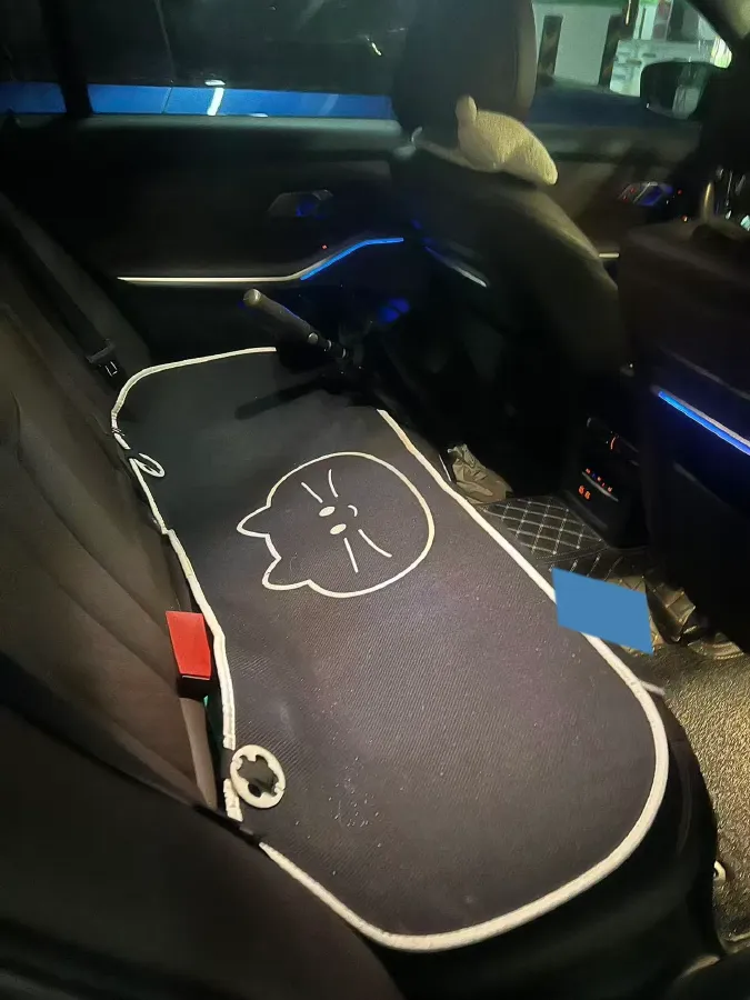 2022 BMW 3 Series 2.0T 184HP L4 8AT,autocango,china used car exporter,china ev exporter,chinese used car exporter,chinese used ev exporter