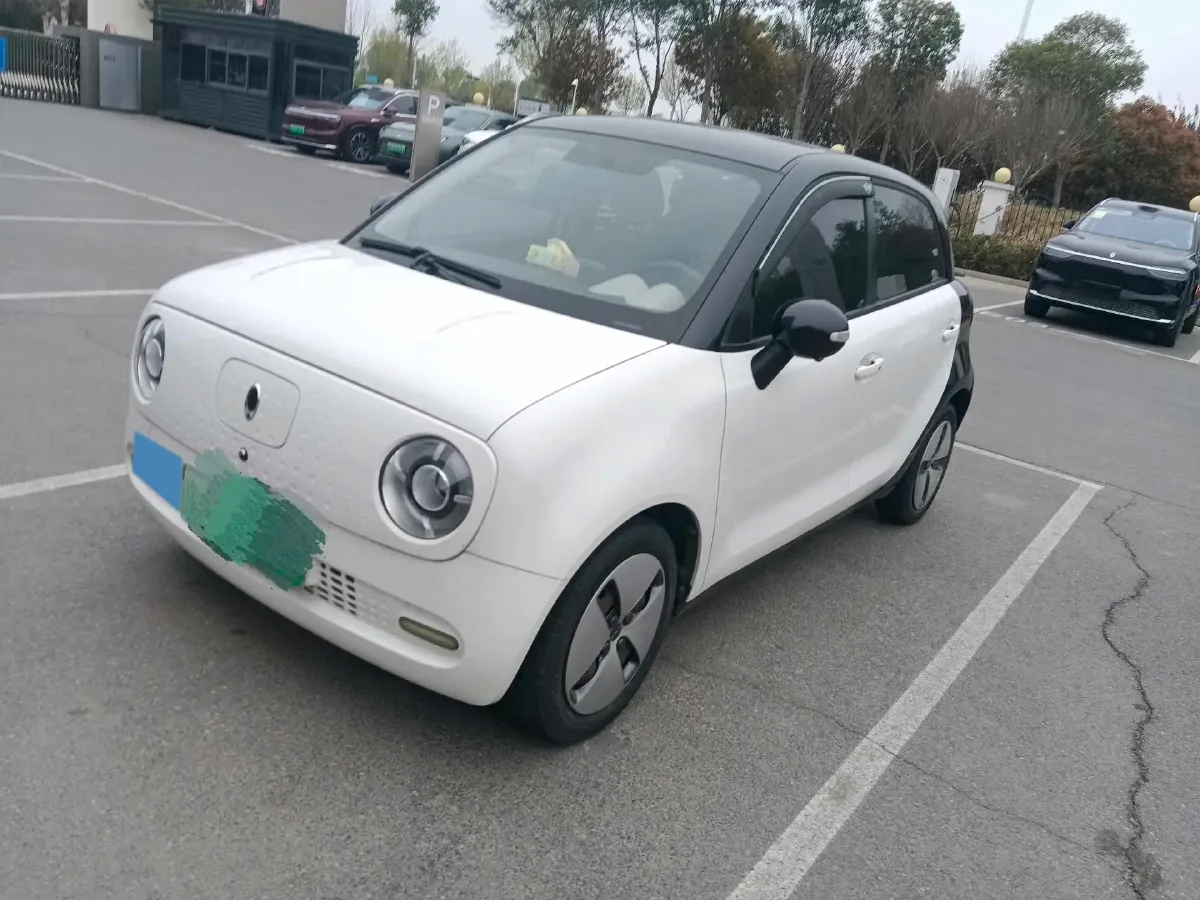 2019 Ora BlackCat BEV 28.5KWH,autocango,china used car exporter,china ev exporter,chinese used car exporter,chinese used ev exporter