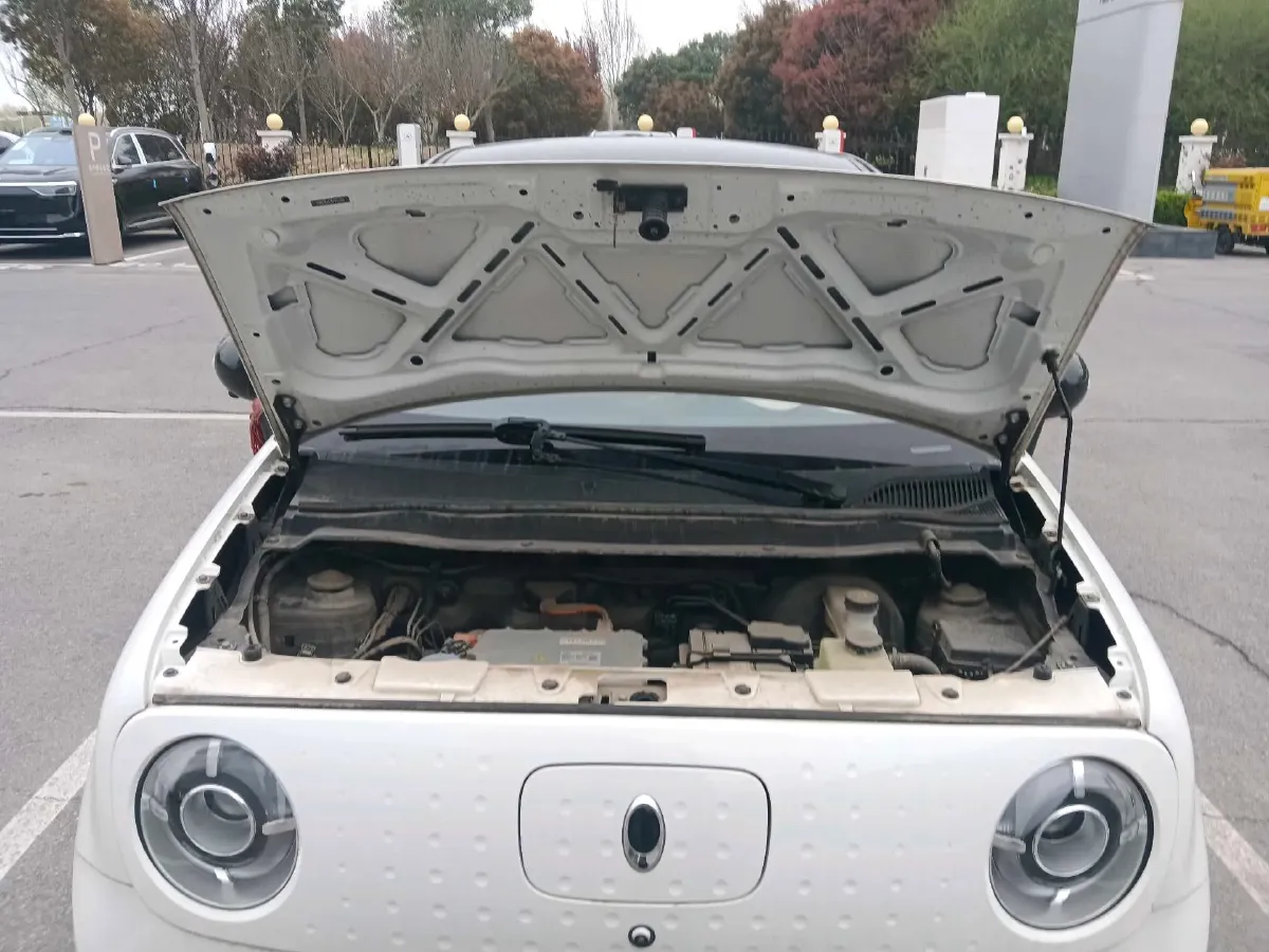 2019 Ora BlackCat BEV 28.5KWH,autocango,china used car exporter,china ev exporter,chinese used car exporter,chinese used ev exporter