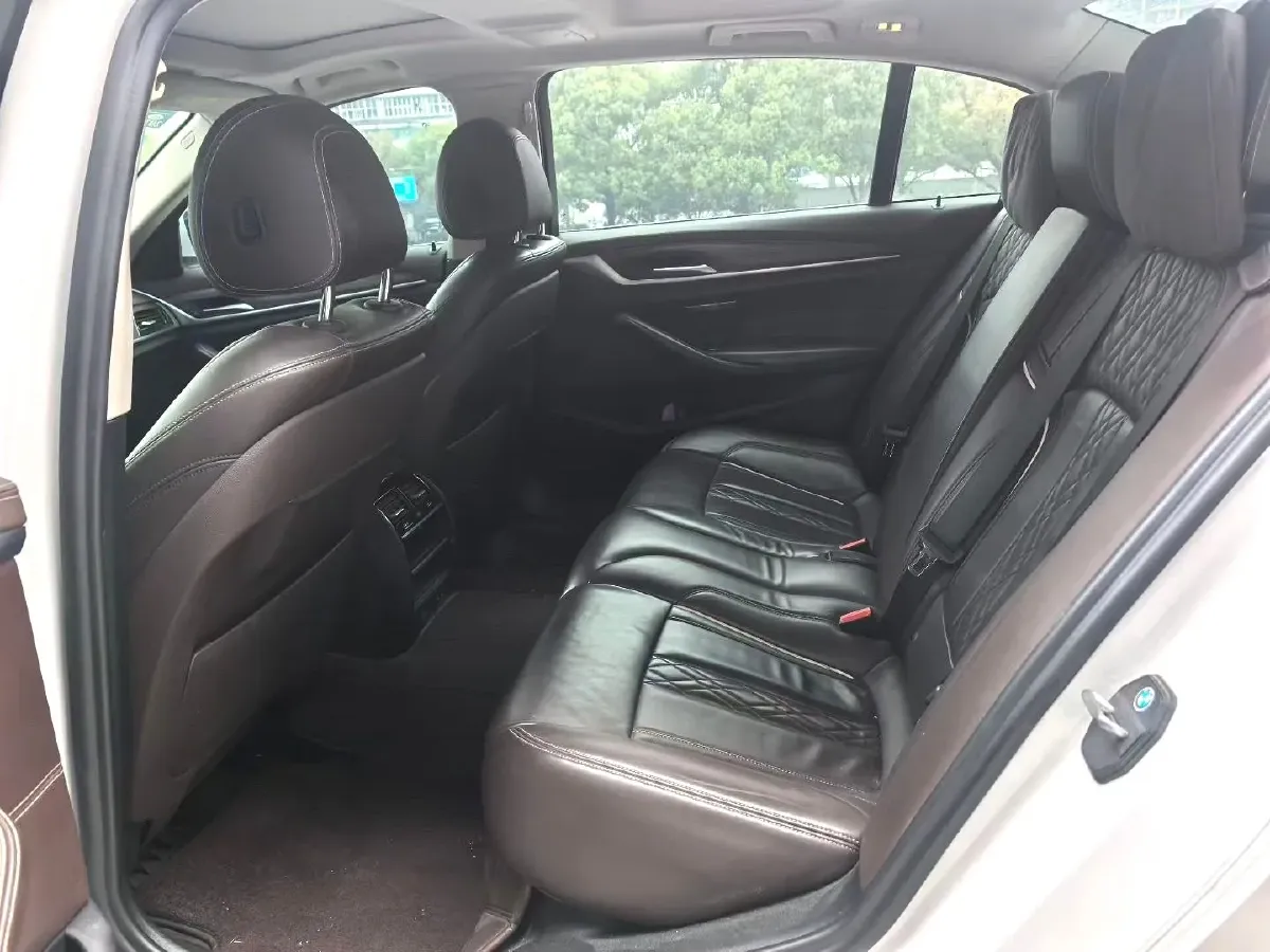 2020 BMW 5 Series 2.0T 252HP L4 8AT,autocango,china used car exporter,china ev exporter,chinese used car exporter,chinese used ev exporter