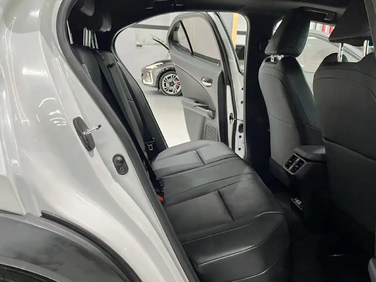 2020 Lexus UX BEV 54.35KWH,autocango,china used car exporter,china ev exporter,chinese used car exporter,chinese used ev exporter