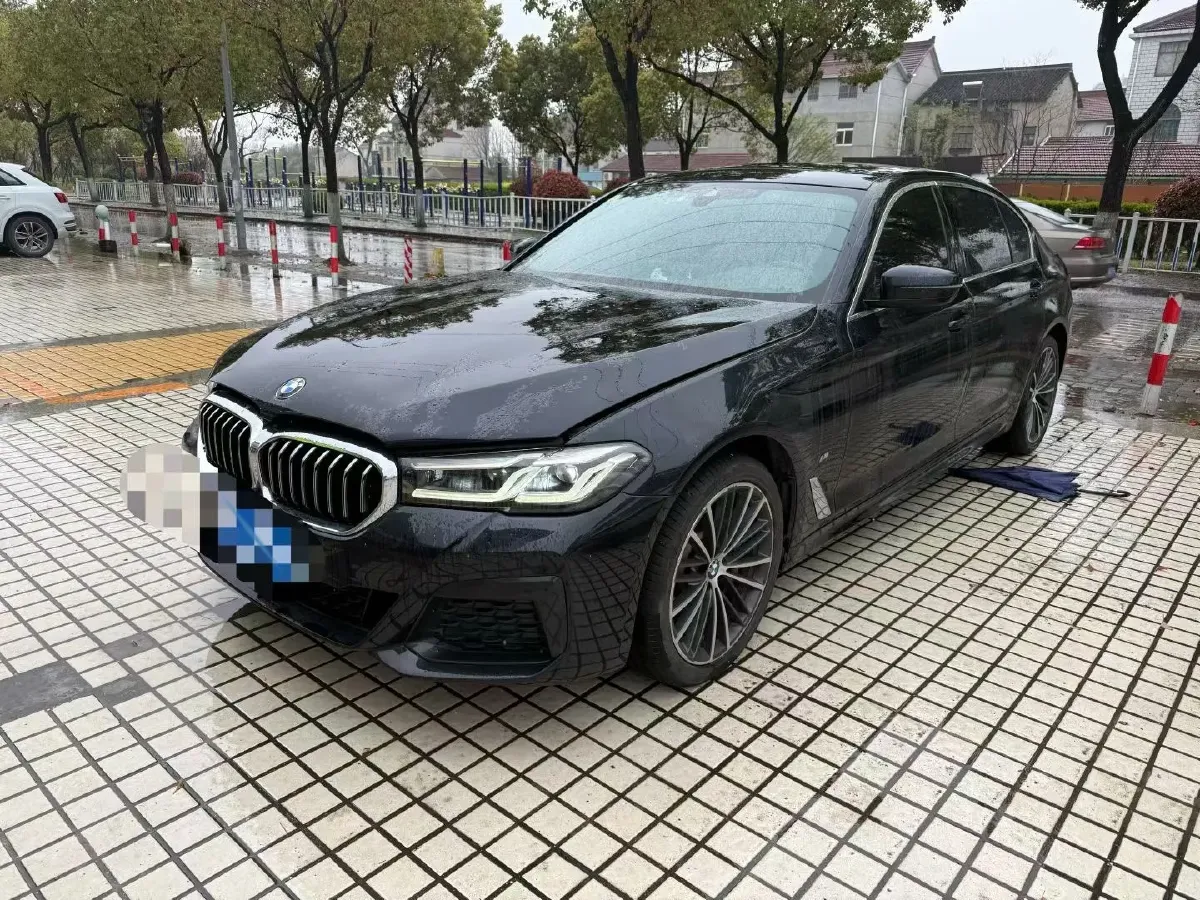 2021 BMW 5 Series 2.0T 252HP L4 8AT,autocango,china used car exporter,china ev exporter,chinese used car exporter,chinese used ev exporter