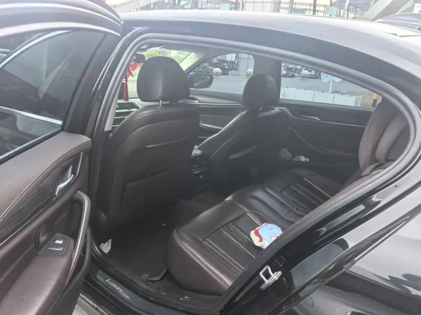 2020 BMW 5 Series 2.0T 252HP L4 8AT,autocango,china used car exporter,china ev exporter,chinese used car exporter,chinese used ev exporter