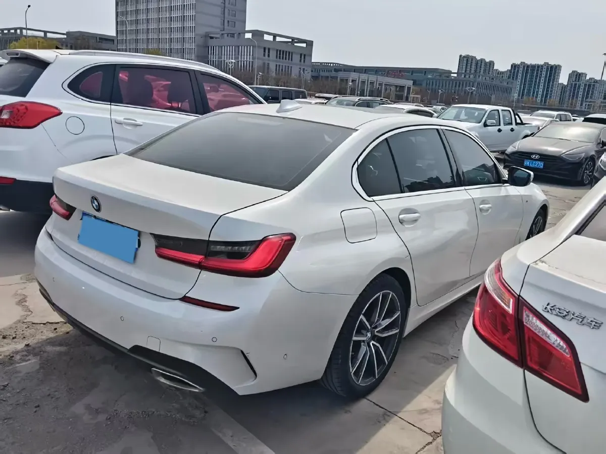 2020 BMW 3 Series 2.0T 156HP L4 8AT,autocango,china used car exporter,china ev exporter,chinese used car exporter,chinese used ev exporter
