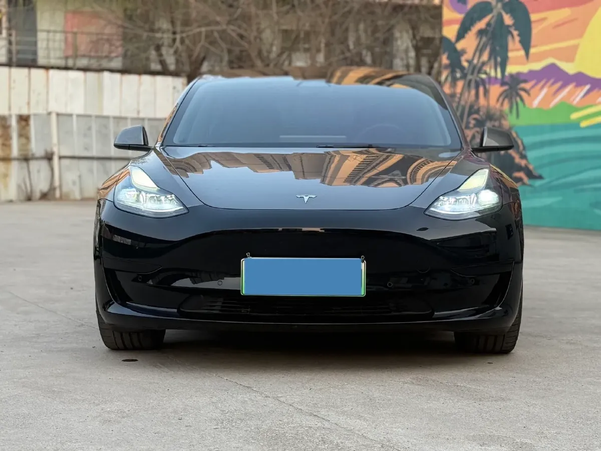 2022 Tesla Model 3 BEV 60KWH,autocango,china used car exporter,china ev exporter,chinese used car exporter,chinese used ev exporter
