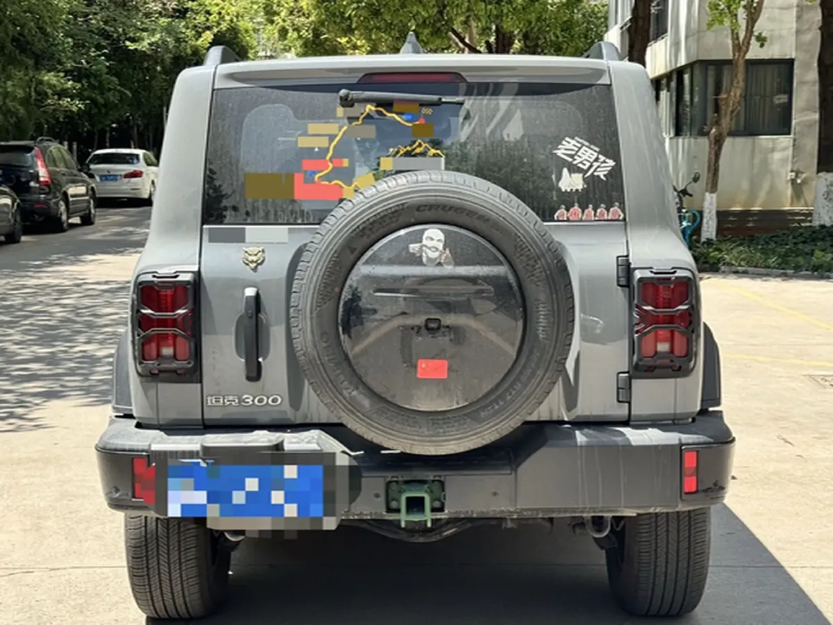 2024 Tank 300 2.0T 227HP L4 8AT,autocango,china used car exporter,china ev exporter,chinese used car exporter,chinese used ev exporter