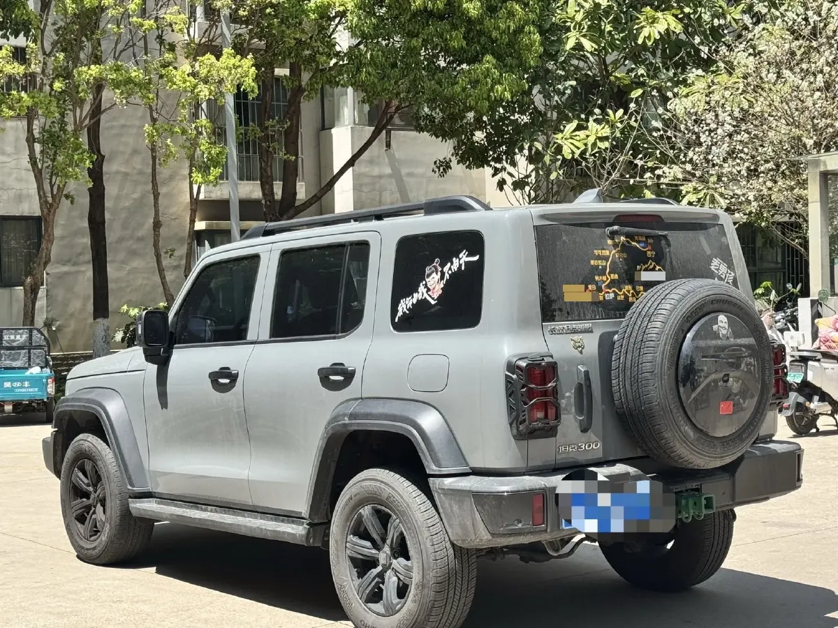 2024 Tank 300 2.0T 227HP L4 8AT,autocango,china used car exporter,china ev exporter,chinese used car exporter,chinese used ev exporter