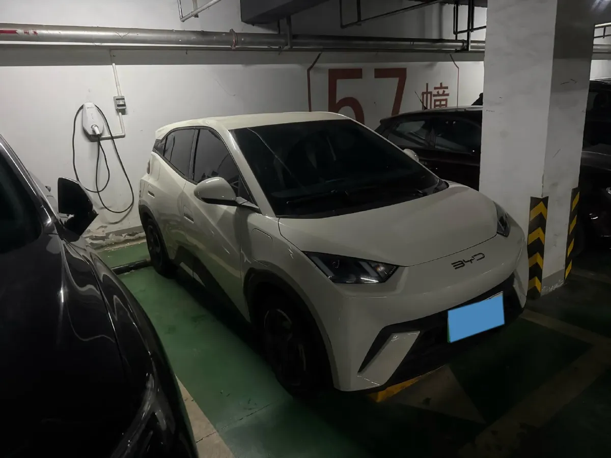 2023 BYD Seagull BEV 38.88KWH,autocango,china used car exporter,china ev exporter,chinese used car exporter,chinese used ev exporter