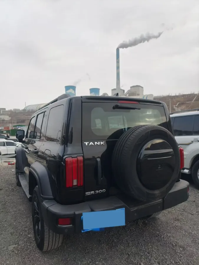 2021 Tank 300 2.0T 227HP L4 8AT,autocango,china used car exporter,china ev exporter,chinese used car exporter,chinese used ev exporter
