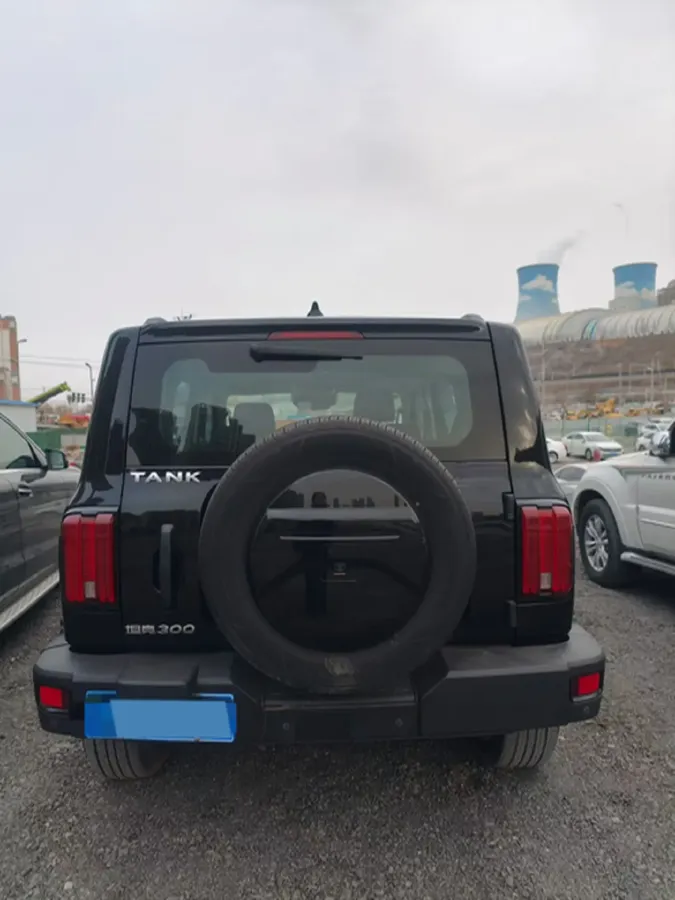 2021 Tank 300 2.0T 227HP L4 8AT,autocango,china used car exporter,china ev exporter,chinese used car exporter,chinese used ev exporter